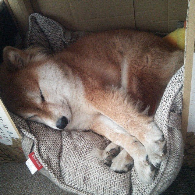 基米希终场前爆发,塞维利亚压哨绝杀奥地利劲旅